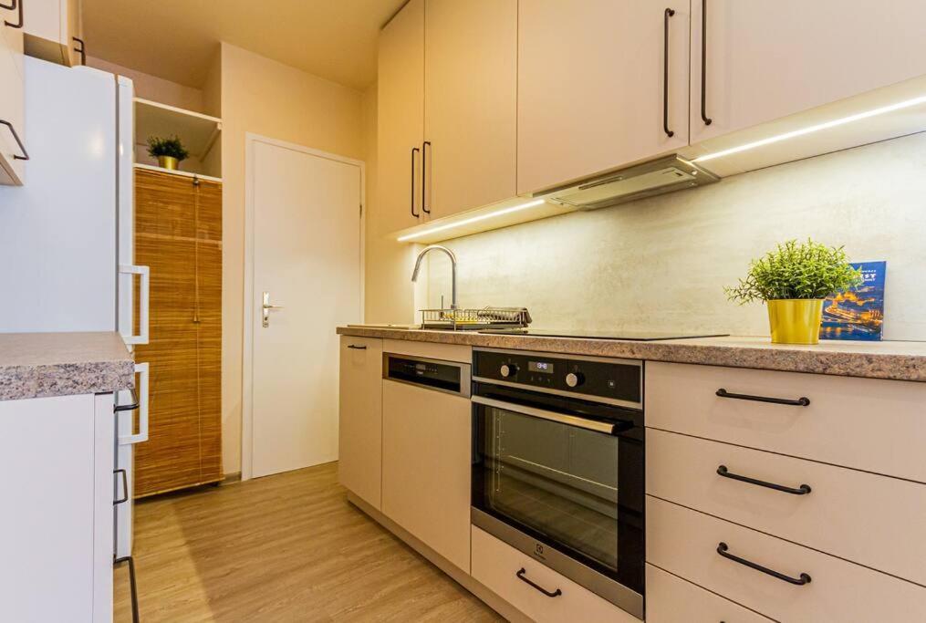 Roomy Apartment 80Sqm At City Center Free Parking Space, Ac & Balcony Budapest Luaran gambar